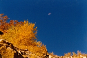 Price Canyon, Carbon County                 